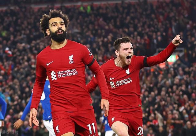 《咬文嚼字》2015年年度十大流行语排名中，“网红”入榜。